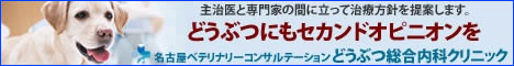 名古屋ベテリナリーコンサルテーション