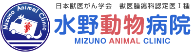 水野動物病院 清須市 稲沢市 一宮市 名古屋市 腫瘍 トリミング 日曜日