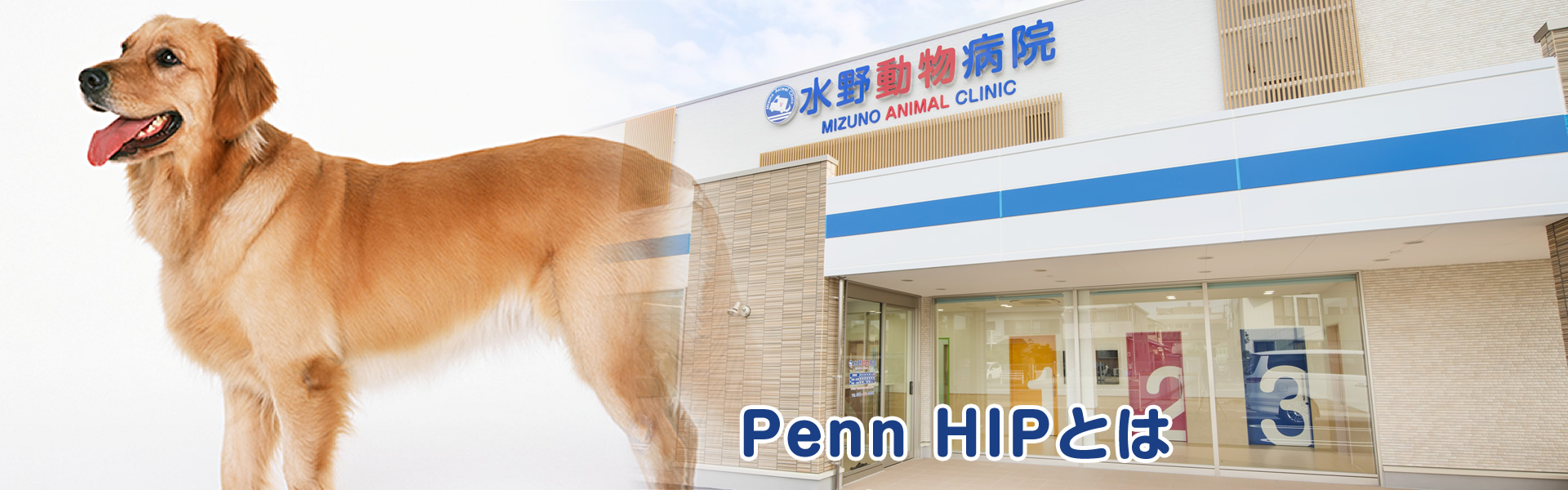 Penn HIPとは